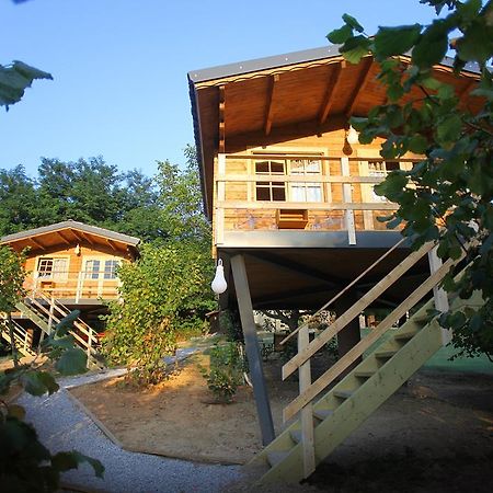 Ecolodge Langhe Cherasco Εξωτερικό φωτογραφία