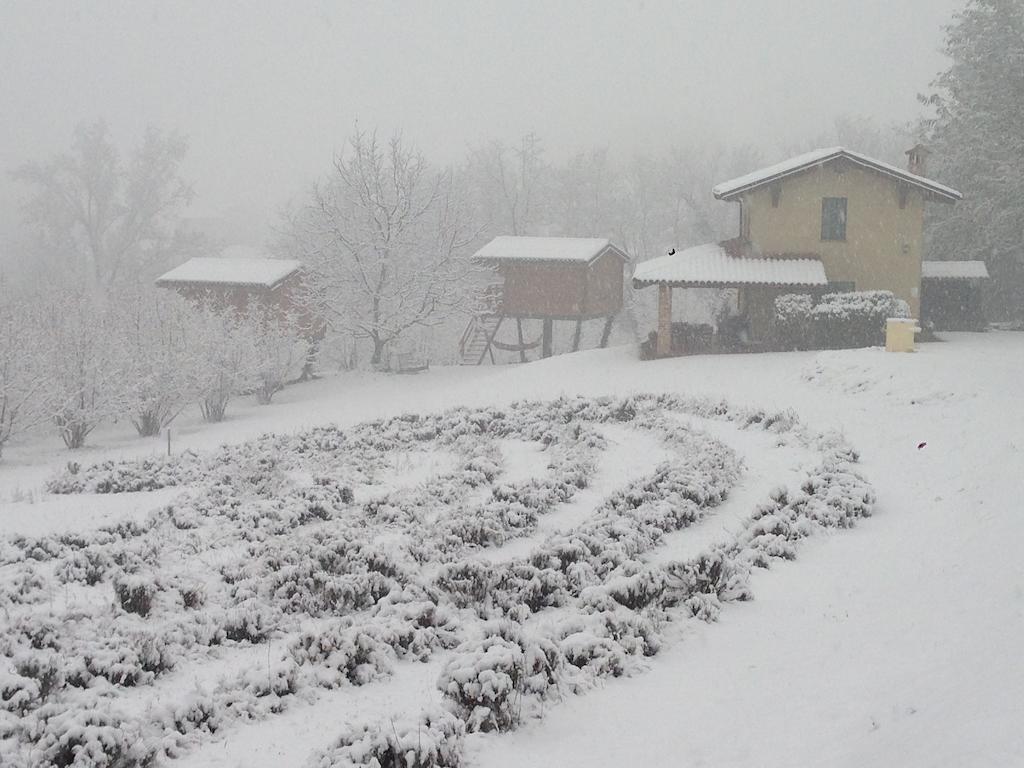 Ecolodge Langhe Cherasco Εξωτερικό φωτογραφία